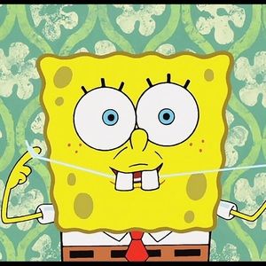 Meet your Posher, Bree